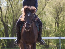 IMG_1835_web